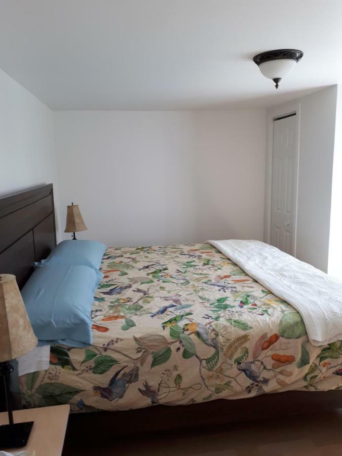 Les Appartements De La Bergeronnette Grandes-Bergeronnes Exteriér fotografie